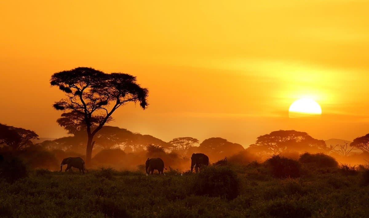 African sunset