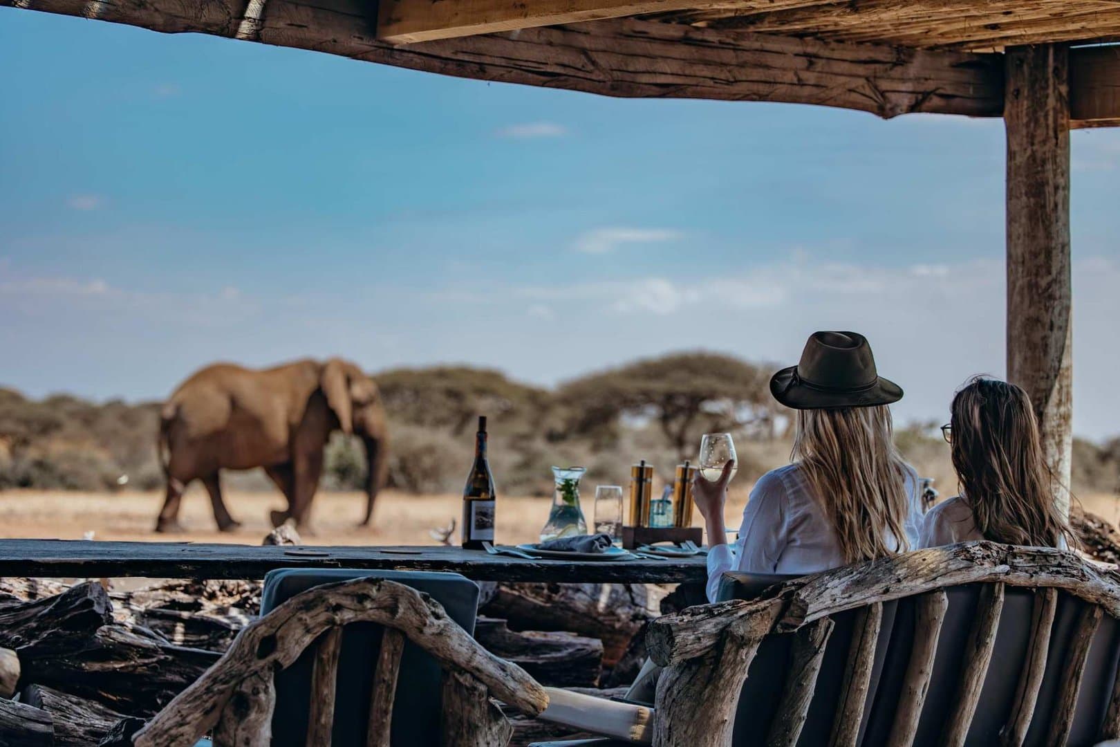 African savanna at golden hour