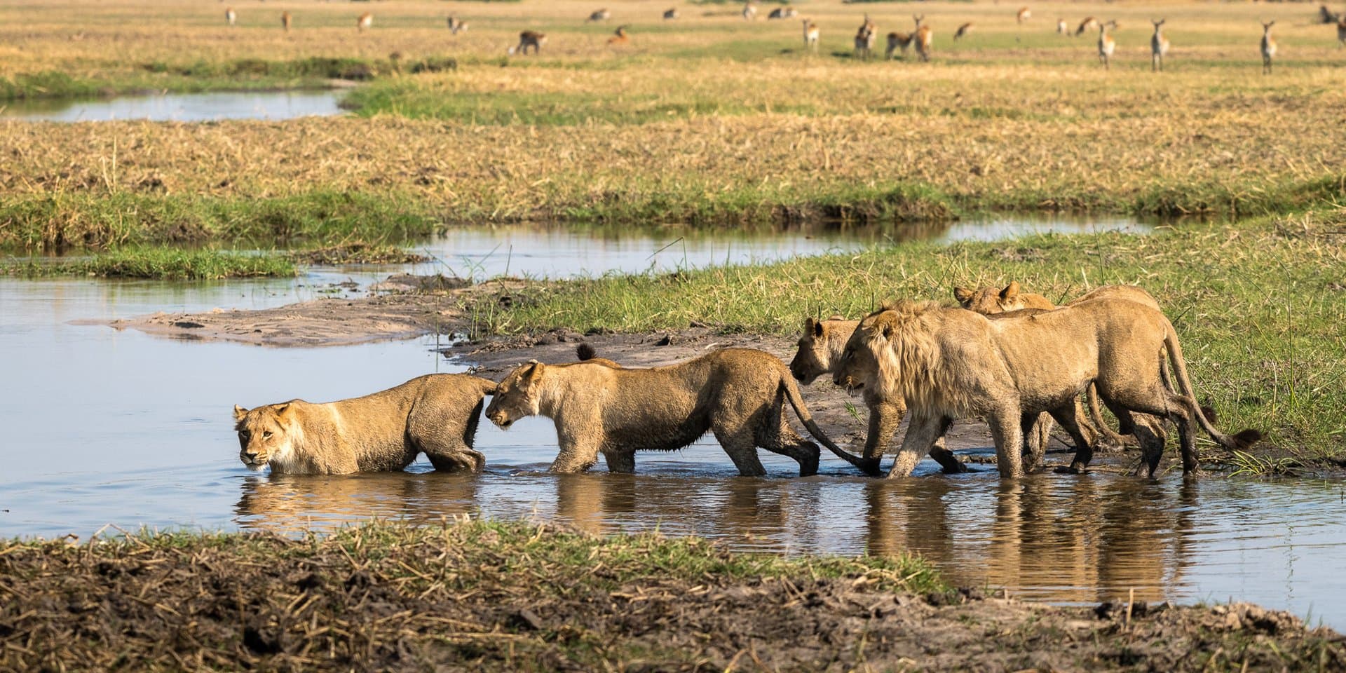 Ultimate African Safari - 16 Days